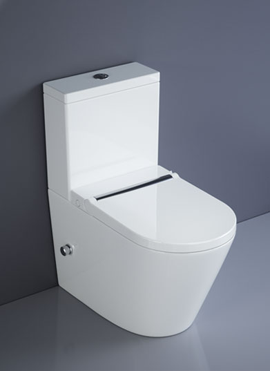 Split type toilet