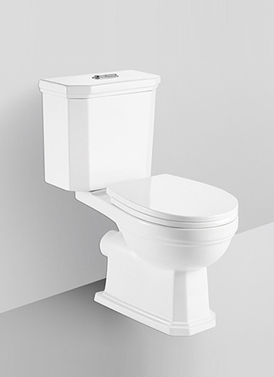 Two-Piece toilet