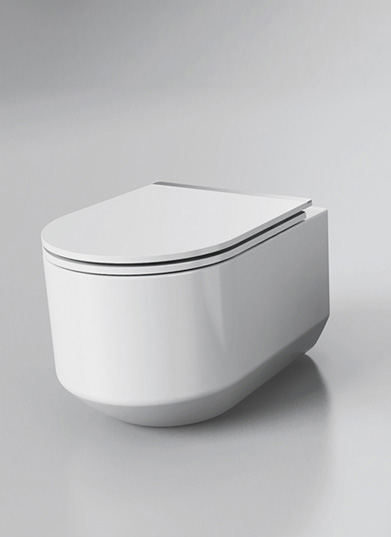 Wall mounted toilet